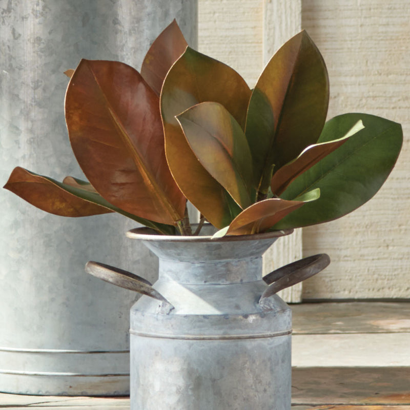NAPA Home & Garden, GRAND MAGNOLIA PICK 16",K100