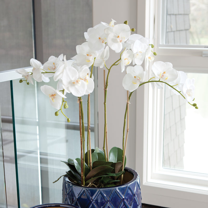 NAPA Home & Garden, PHALAENOPSIS ORCHID BOWL DROP-IN 25",K112W