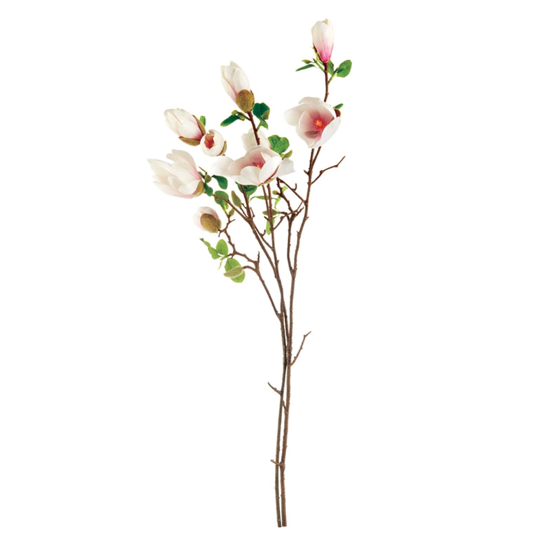 JAPANESE MAGNOLIA BLOSSOMS 37-INCH
