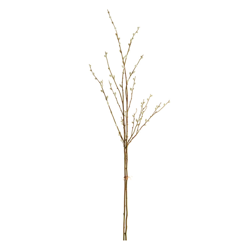Napa Home & Garden PUSSYWILLOW Stems 52-INCH Bundle of 2