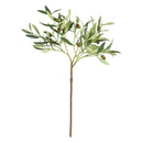 Napa Home Garden, OLIVE 22" STEM W OLIVES,k207
