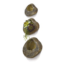 NAPA Home & Garden, SEABROOK WALL PLANTER SERIES