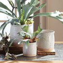 NAPA Home & Garden, AMORY POTS Collection