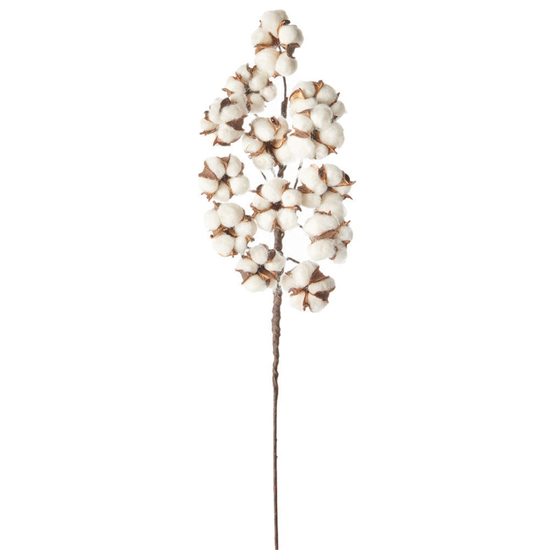 Napa Home & Garden Cotton 20" Stem