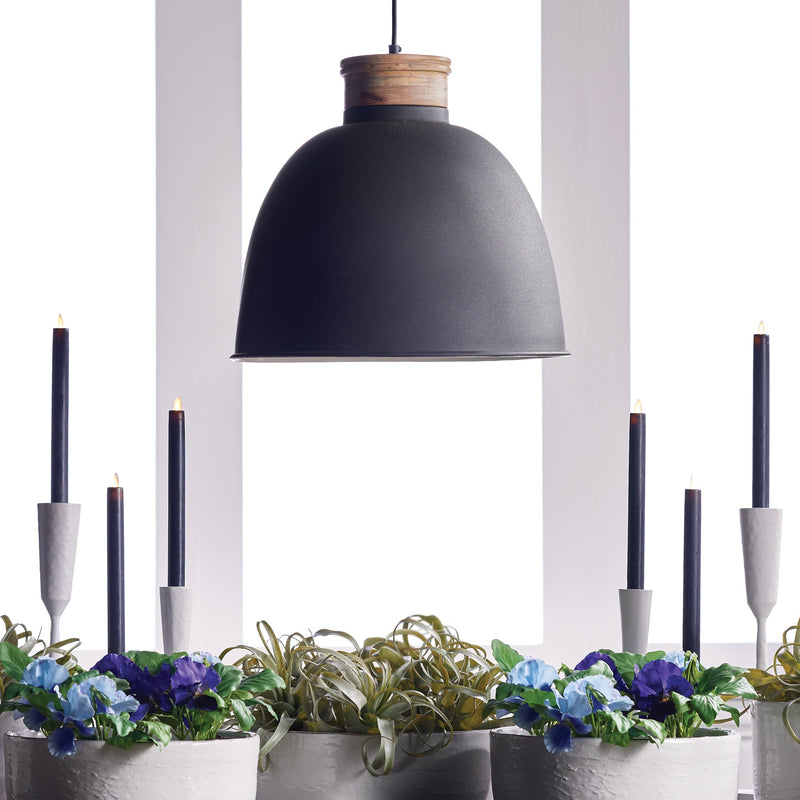 NAPA Home & Garden, Zeke Pendant Light Fixture