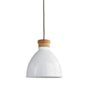 NAPA Home & Garden Brody Pendant Light Fixture