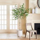 NAPA Home & Garden, BIRCH TREE DROP-IN 6'4",N2CC05