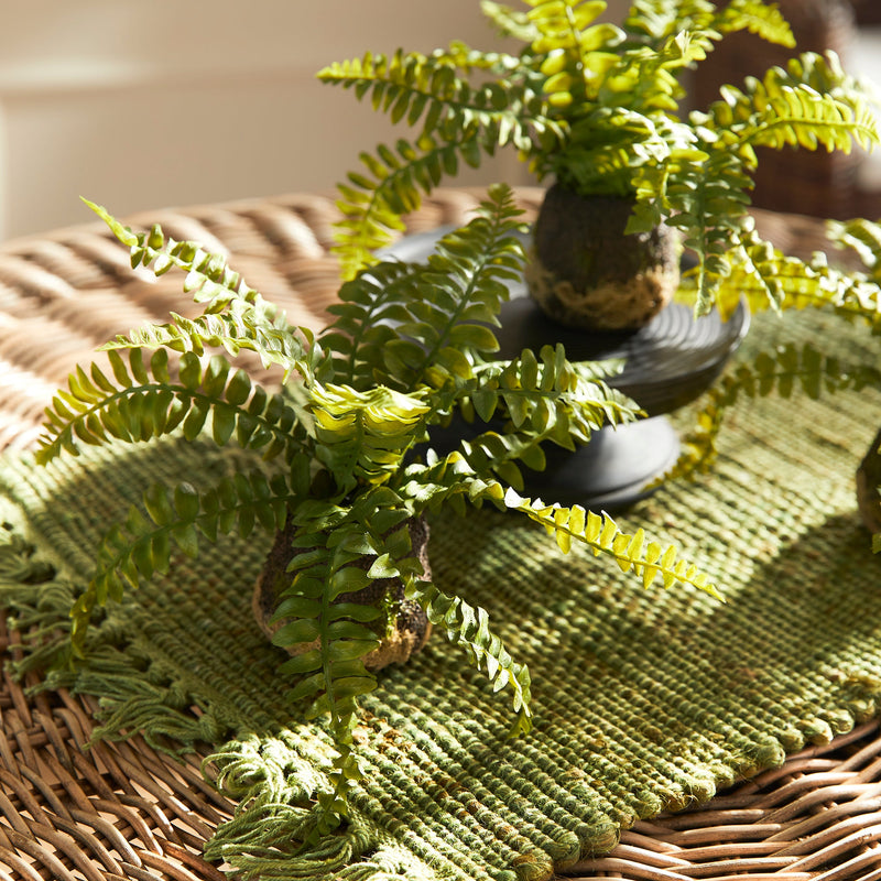 NAPA Home & Garden, Boston Fern Drop-In Collection