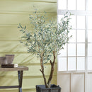 NAPA Home & Garden, GRAND TREE DROP-IN COLLECTION