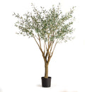 NAPA Home & Garden, GRAND TREE DROP-IN COLLECTION