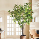NAPA Home & Garden, GRAND TREE DROP-IN COLLECTION