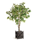 NAPA Home & Garden, GRAND TREE DROP-IN COLLECTION