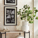 NAPA Home & Garden, DARLA and COLTON VASE Collection