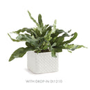 NAPA Home & Garden, Chinoiserie and Lola Cachepot Collection