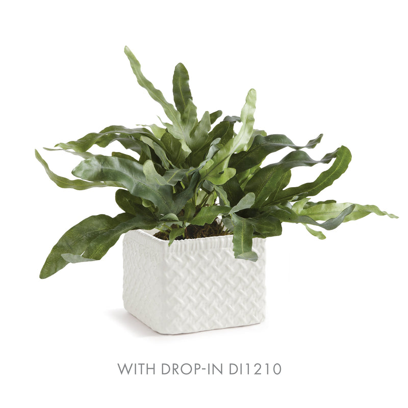 NAPA Home & Garden, Chinoiserie and Lola Cachepot Collection