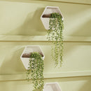 NAPA Home & Garden, CASSIDY WALL PLANTER,N2LK06