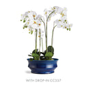 NAPA Home & Garden, LINEA & COLETTA DECORATIVE COLLECTION