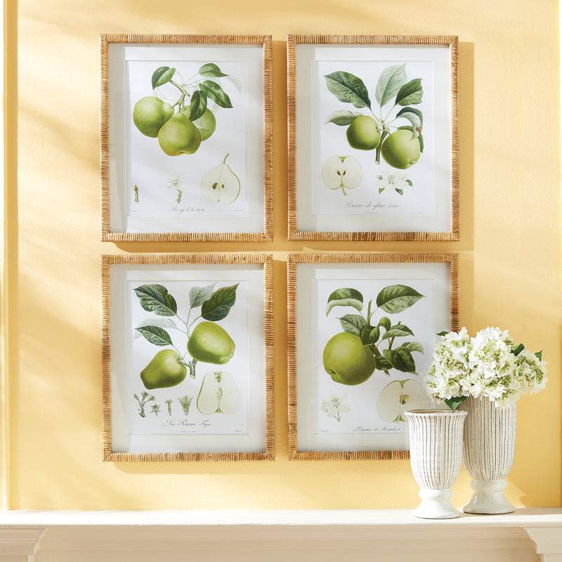 NAPA Home & Garden, FRUIT STUDY, SET OF 4,N2NH00
