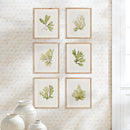 NAPA Home & Garden, KELP PRINTS, SET OF 6,N2NH09