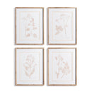 NAPA Home & Garden, BLUSH BOTANICAL STUDY, SET OF 4,N2NH23