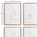 NAPA Home & Garden, BLUSH BOTANICAL STUDY, SET OF 4,N2NH23