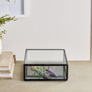 NAPA Home & Garden, ARWEN DISPLAY BOX