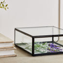 NAPA Home & Garden, ARWEN DISPLAY BOX