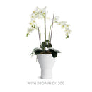 NAPA Home & Garden, ALBERTA & LARSON VASE COLLECTION