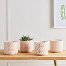 NAPA Home & Garden, Chase Pots Collection