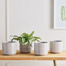 NAPA Home & Garden, Chase Pots Collection