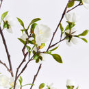 NAPA Home & Garden, Cherry Blossom Branches, Bundle