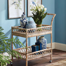 NAPA Home & Garden, Peony Tulip Drop-In Bundle