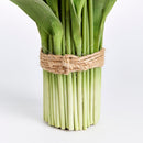 NAPA Home & Garden, Peony Tulip Drop-In Bundle