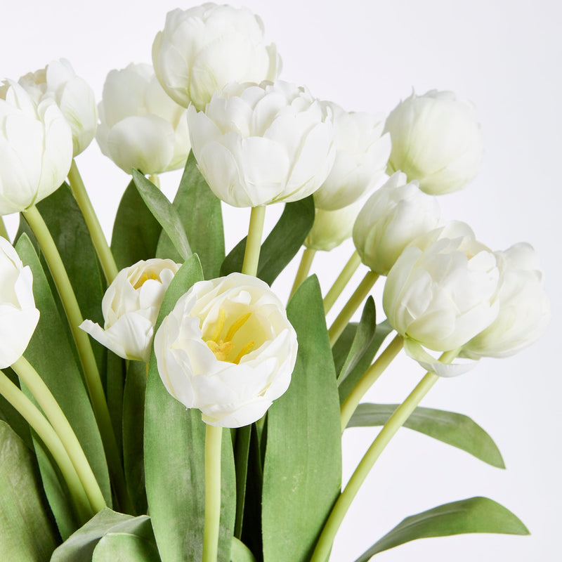 NAPA Home & Garden, Peony Tulip Drop-In Bundle