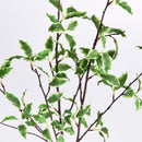NAPA Home & Garden, VARIEGATED LEAF BRANCHES 32", BUNDLE OF 2,N3CC24