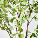 NAPA Home & Garden, GINKGO TREE DROP-IN 8',N3CC29