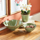 NAPA Home & Garden, RIVO Decorative Bowls Collection