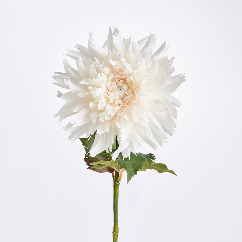 NAPA Home & Garden, CHRYSANTHEMUM STEM 30",N3GP09WH