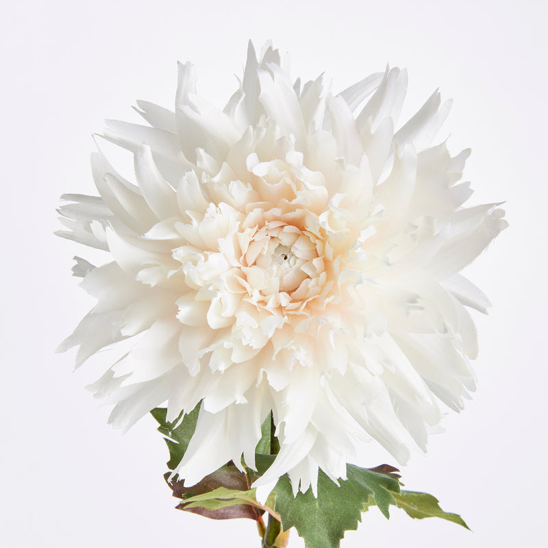 NAPA Home & Garden, CHRYSANTHEMUM STEM 30",N3GP09WH