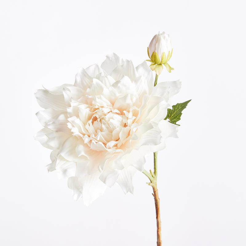 NAPA Home & Garden, DAHLIA STEM 21.5" CREAM,N3GP12CR