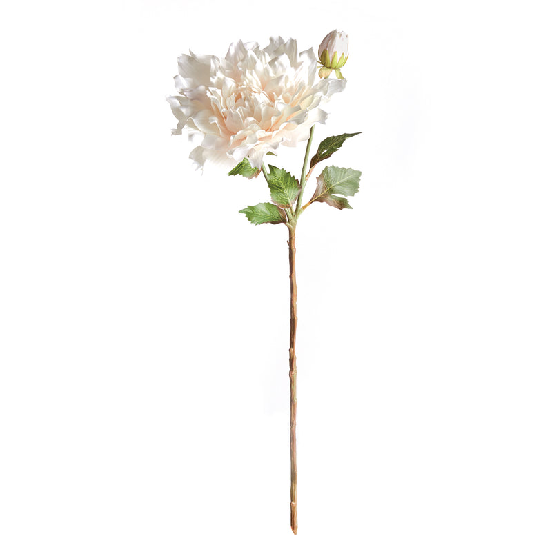 NAPA Home & Garden, DAHLIA STEM 21.5" CREAM,N3GP12CR