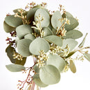 NAPA Home & Garden, SILVER DOLLAR EUCALYPTUS CUTTINGS, BUNDLE OF 12,N3GP13