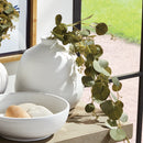 NAPA Home & Garden, SILVER DOLLAR EUCALYPTUS SPILLER STEM,N3GP15