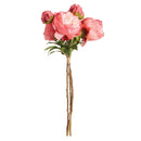 NAPA Home & Garden, Peonies Bundle