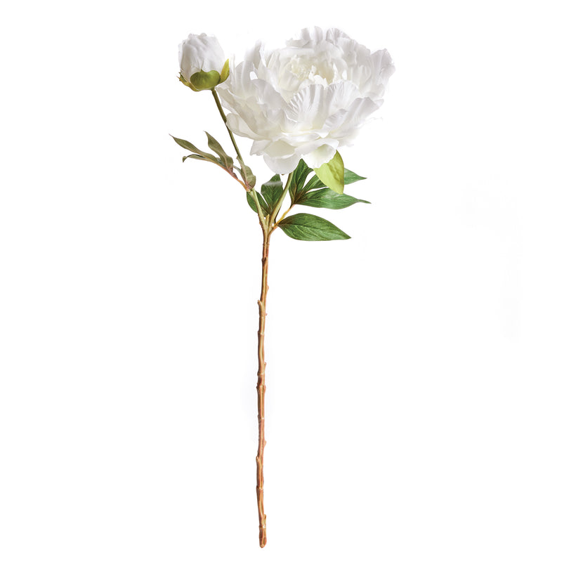 NAPA Home & Garden, PEONY STEM 21",N3GP413CR