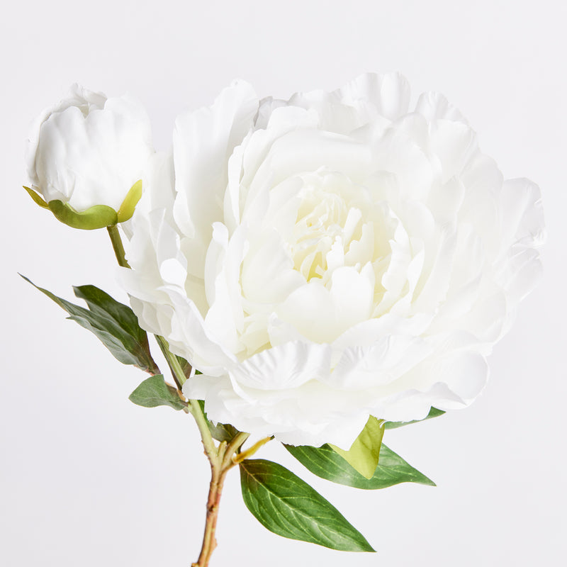 NAPA Home & Garden, PEONY STEM 21",N3GP413CR