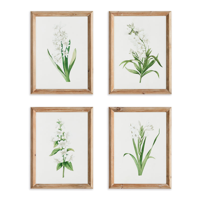 NAPA Home & Garden, GARDEN BLOOM PRINTS, SET OF 4,N3NH32