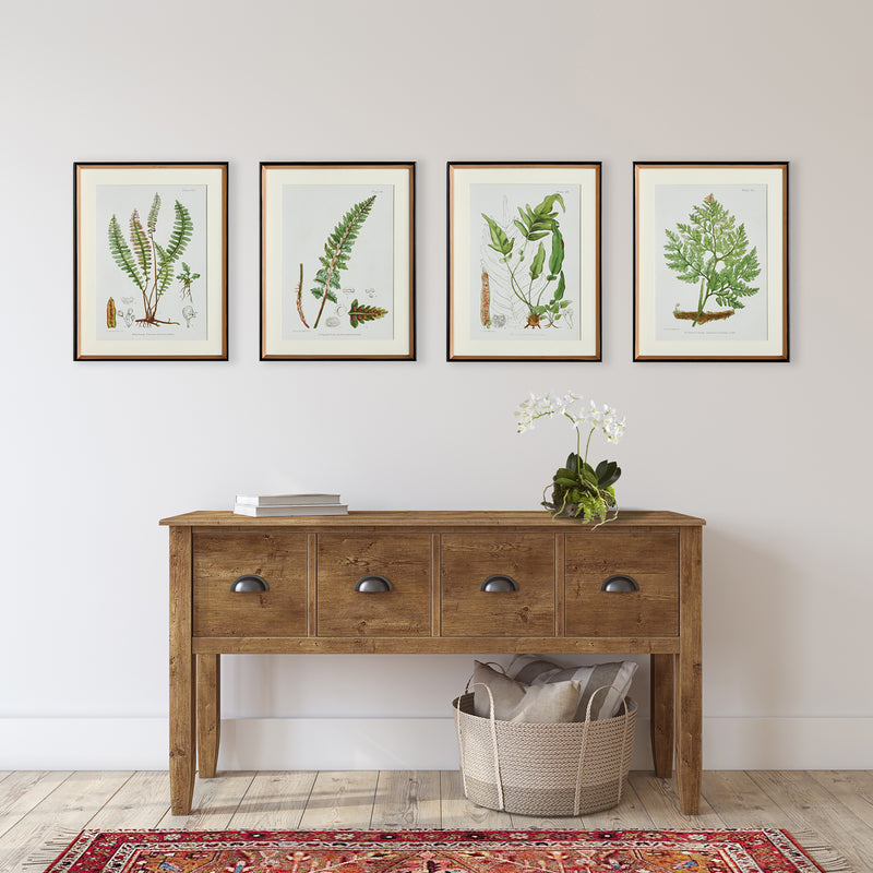 NAPA Home & Garden, STRUCTURAL FERN STUDY, SET OF 4,N3NH41