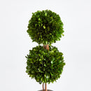 NAPA Home & Garden, BOXWOOD DOUBLE SPHERE TOPIARY DROP-IN 20",N3PG07