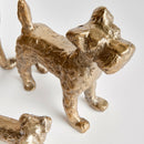 NAPA Home & Garden, LITTLE PACK Collection